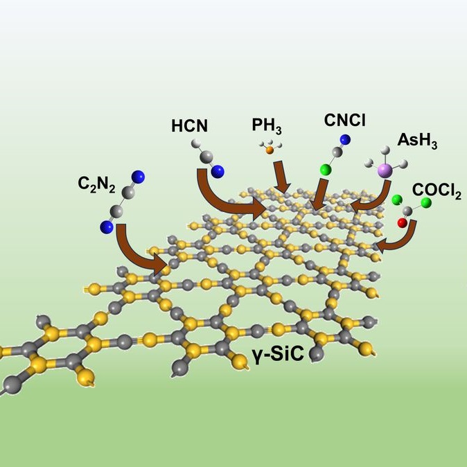 Gas Sening via γ-SiC nanoflake